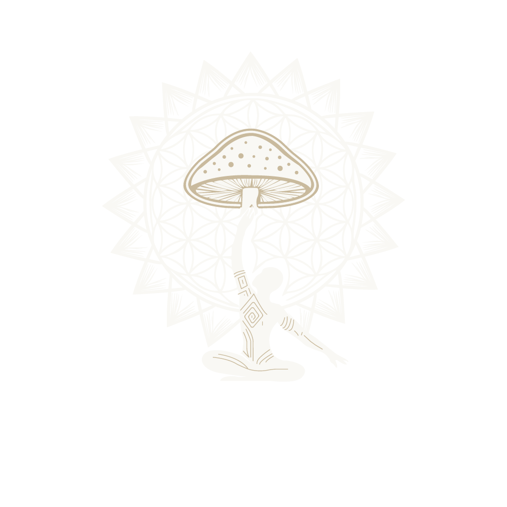 BloomMushroom
